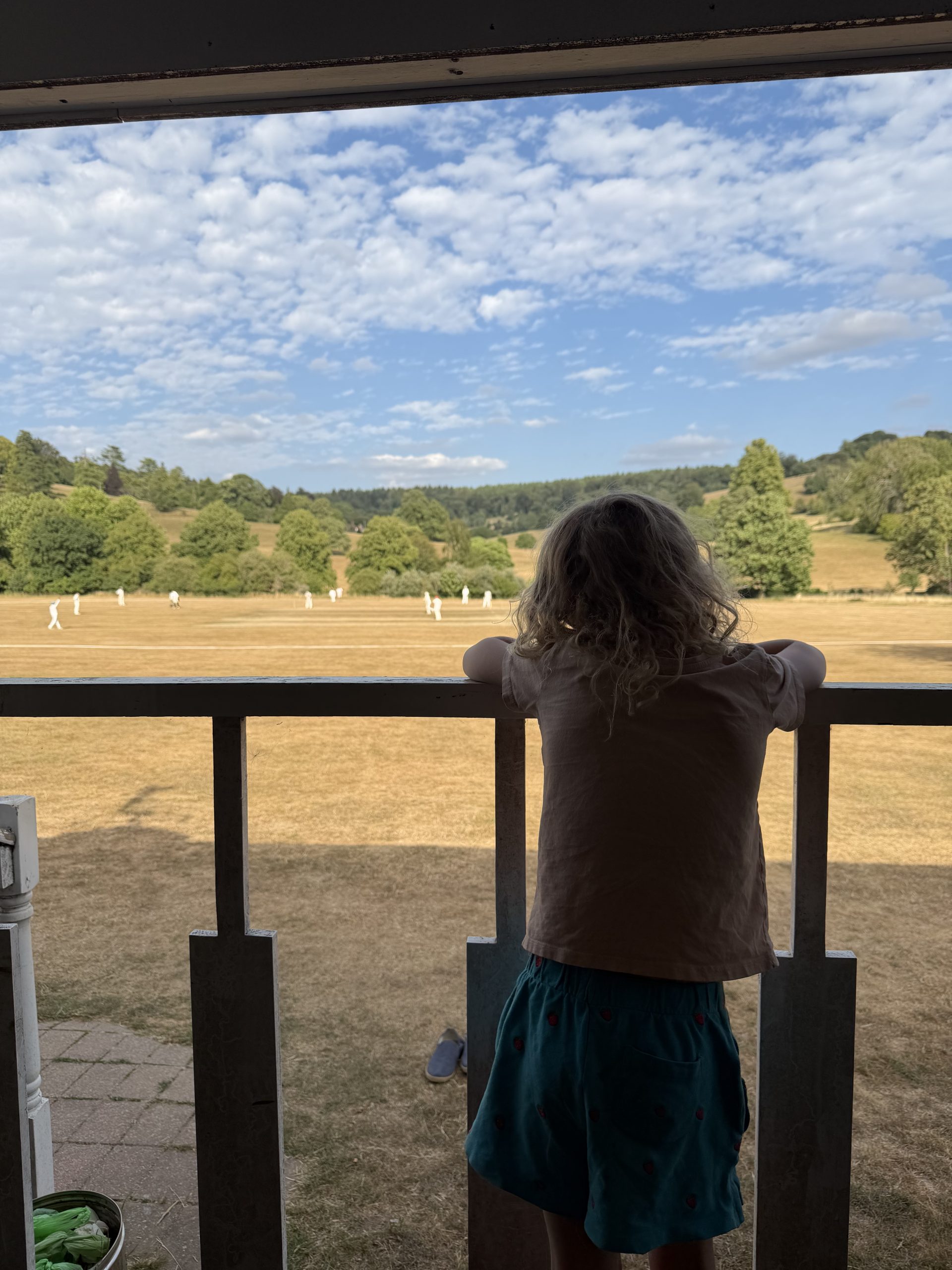Cricket match at Stonor Park, Henley-on-Thames - V&A Cricket Club