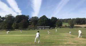 Cricket match at Stonor Park, Henley-on-Thames - V&A Cricket Club