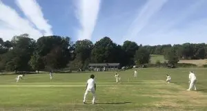 Cricket match at Stonor Park, Henley-on-Thames - V&A Cricket Club